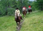 Reiten und Pferdekutschenfahrten