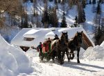 Winterreiten und Pferdeschlittenfahrten